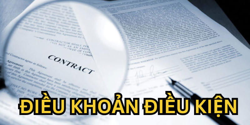 Lý do điều khoản điều kiện quan trọng