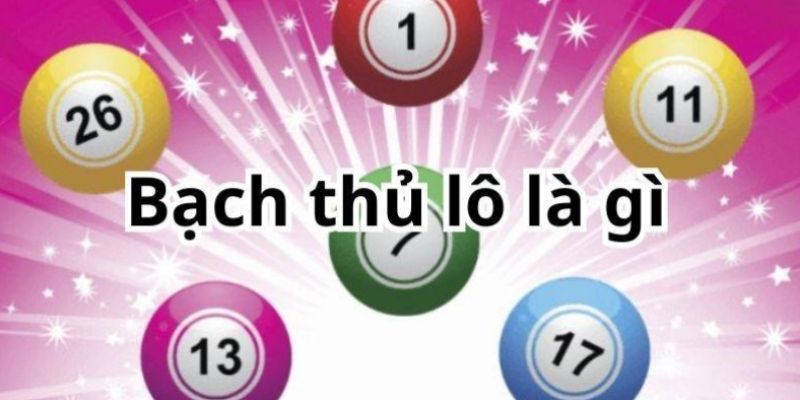 Khái niệm bạch thủ lô là gì nói về việc chỉ chơi một con lô duy nhất