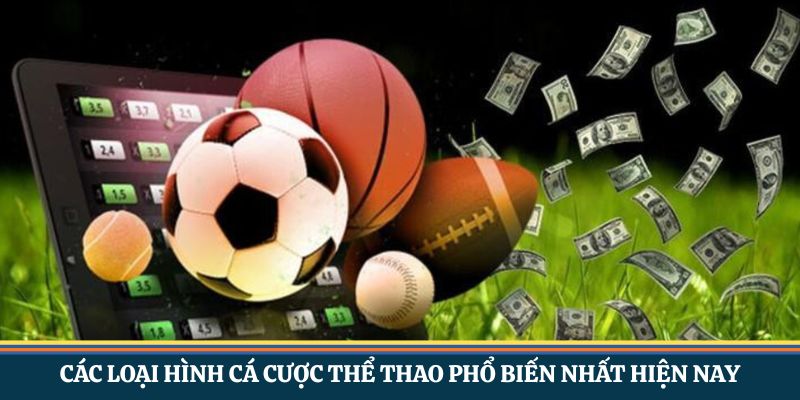 Các loại hình cá cược thể thao phổ biến nhất hiện nay