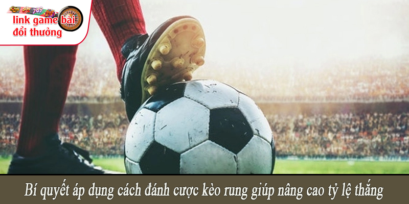 Bí quyết áp dụng cách đánh cược kèo rung giúp nâng cao tỷ lệ thắng