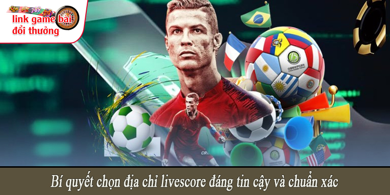 Bí quyết chọn địa chỉ livescore đáng tin cậy và chuẩn xác