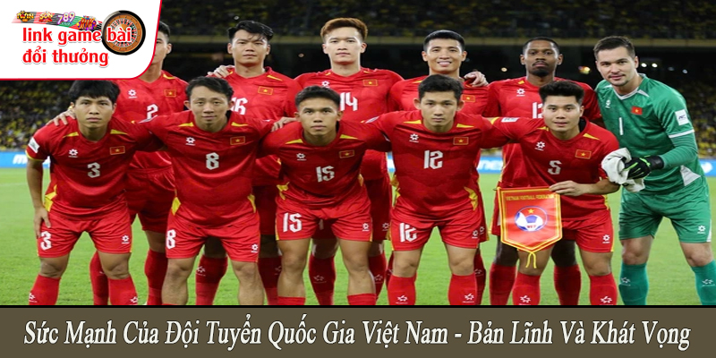 sức mạnh của đội tuyển quốc gia Việt Nam