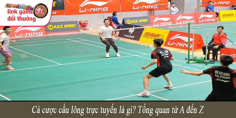 Cá cược cầu lông trực tuyến là gì? Tổng quan từ A đến Z