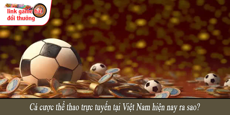 Cá cược thể thao trực tuyến tại Việt Nam hiện nay ra sao?