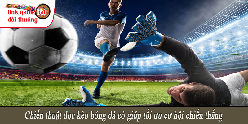Chiến thuật đọc kèo bóng đá cỏ giúp tối ưu cơ hội chiến thắng