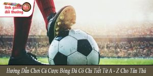 hướng dẫn chơi cá cược bóng đá cỏ