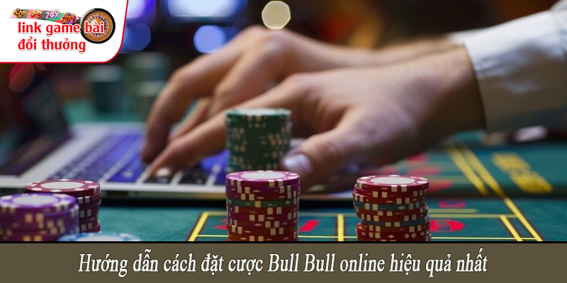 Hướng dẫn cách đặt cược Bull Bull online hiệu quả nhất