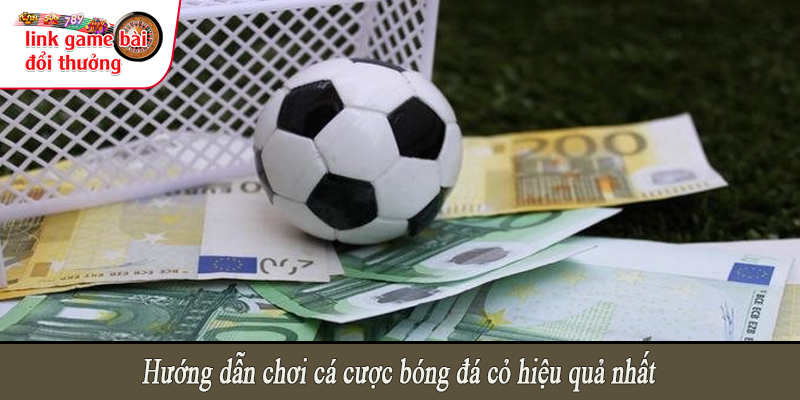 Hướng dẫn chơi cá cược bóng đá cỏ hiệu quả nhất