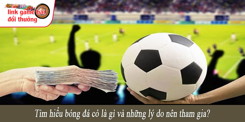 Tìm hiểu bóng đá cỏ là gì và những lý do nên tham gia?