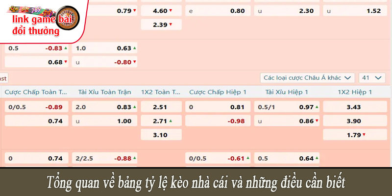 Tổng quan về bảng tỷ lệ kèo nhà cái và những điều cần biết