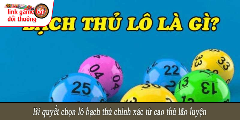 Bí quyết chọn lô bạch thủ chính xác từ cao thủ lão luyện