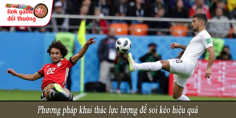 Phương pháp khai thác lực lượng để soi kèo hiệu quả