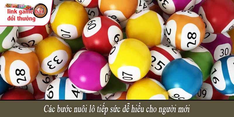 Các bước nuôi lô tiếp sức dễ hiểu cho người mới