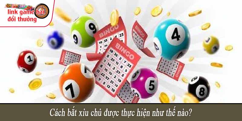 Cách bắt xỉu chủ được thực hiện như thế nào?