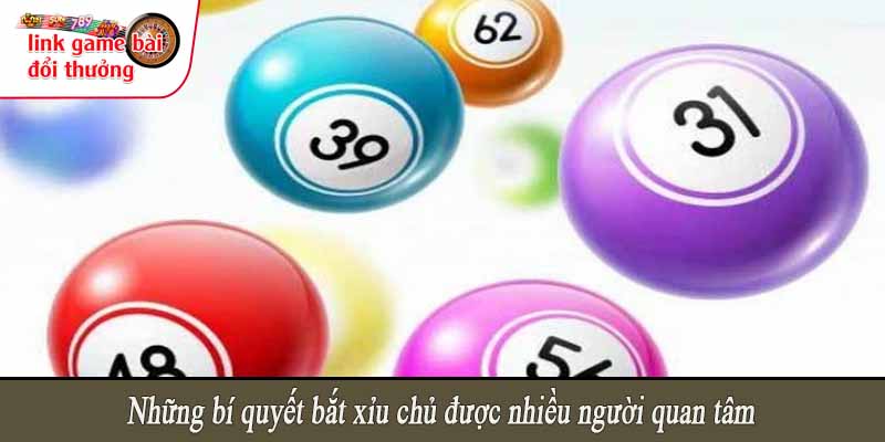 Những bí quyết bắt xỉu chủ được nhiều người quan tâm