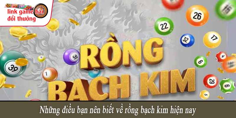 Những điều bạn nên biết về rồng bạch kim hiện nay