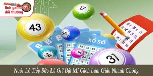 Nuôi lô tiếp sức là gì