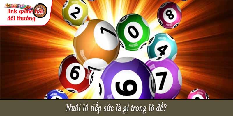 Nuôi lô tiếp sức là gì trong lô đề?