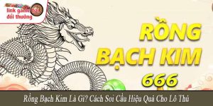rồng bạch kim là gì