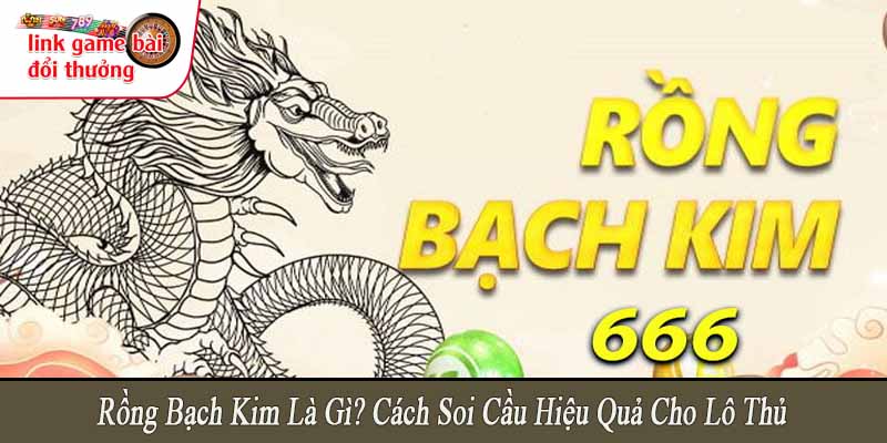 rồng bạch kim là gì