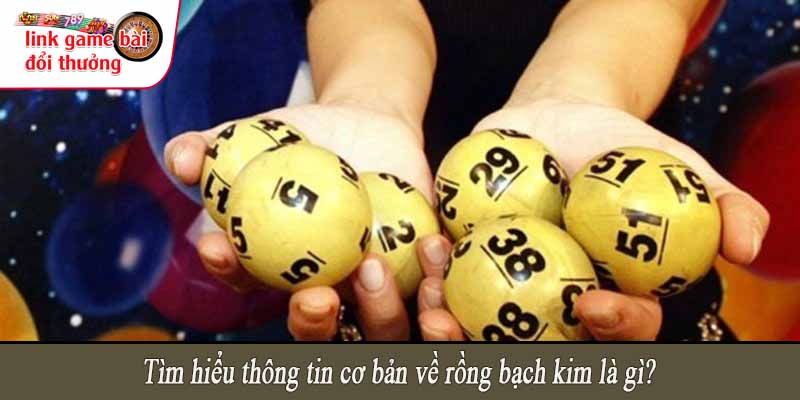 Tìm hiểu thông tin cơ bản về rồng bạch kim là gì?